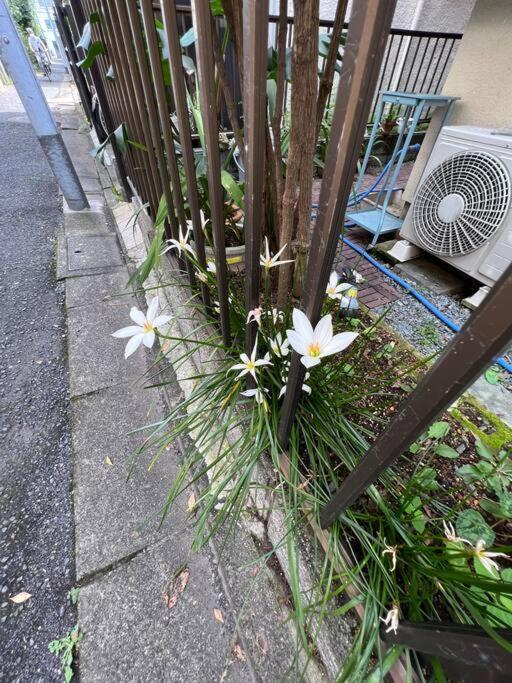 Apartament 東京芳华驿站 Tokio Zewnętrze zdjęcie